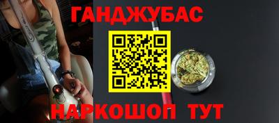стаф Кингисепп