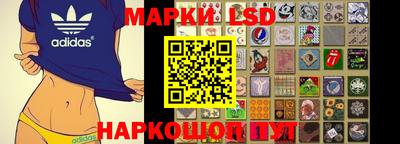 стаф Кингисепп