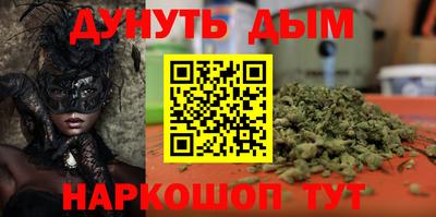 стаф Кингисепп
