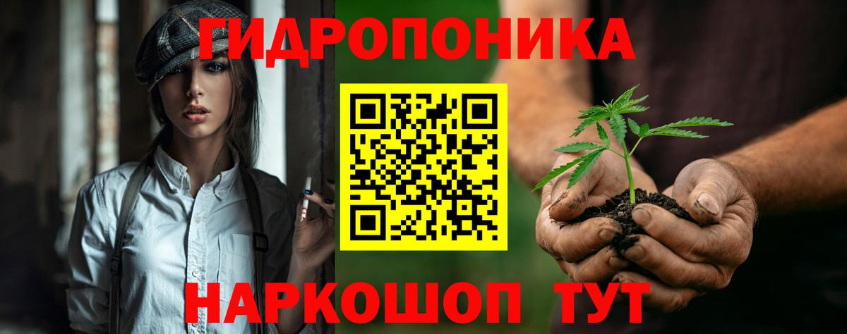 Каннабис планчик  Каннабис конопля  Канабис марихуана  Канабис White Widow  Котлас  Вход с VPN 